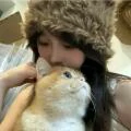 用戶頭像